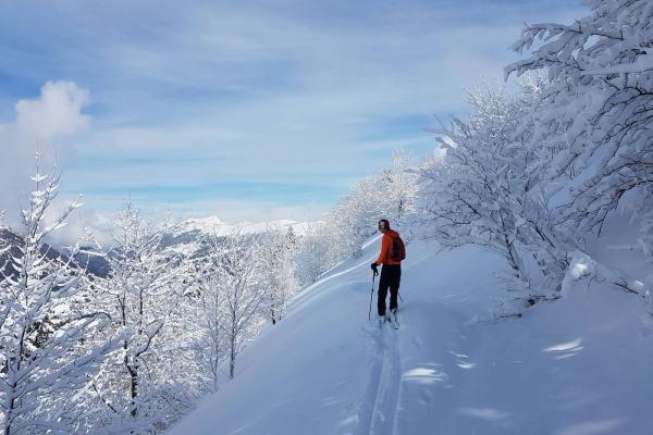 Ski de randonnée