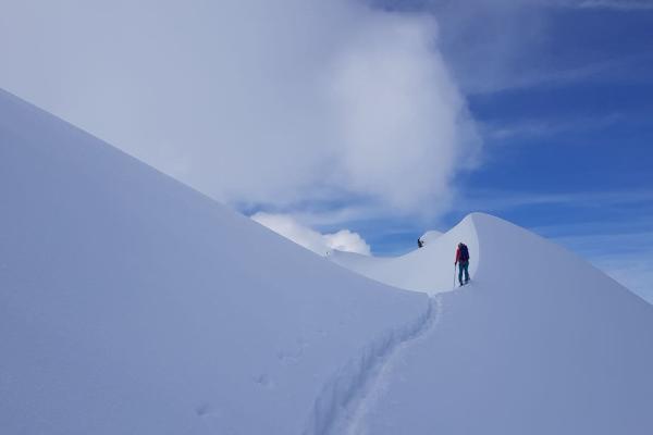 Ski de randonnée