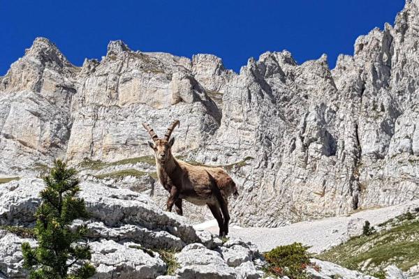 Le Vercors