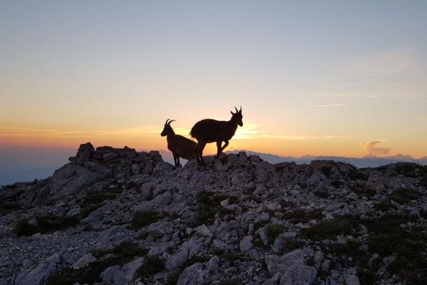 Le Vercors