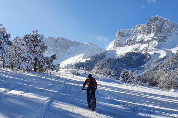 Fat Bike