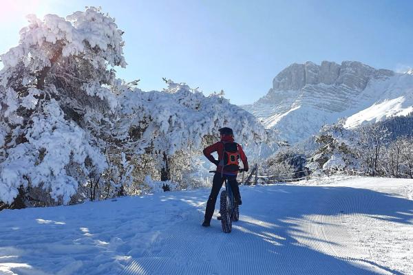 Fat Bike