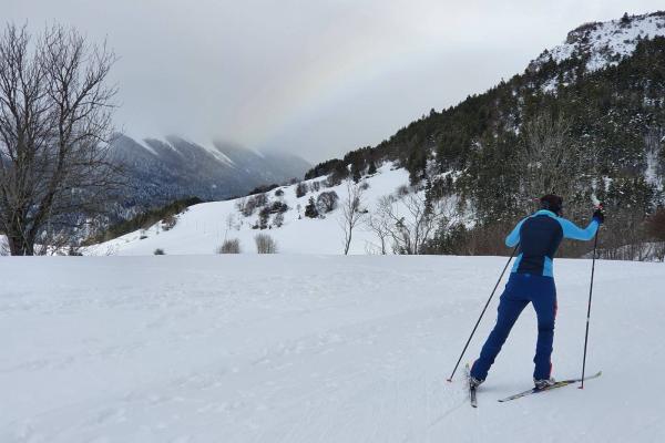 Ski de fond