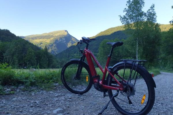 Vélos électriques (VAE)